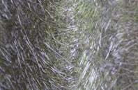 Roxeth fibreglass roof work